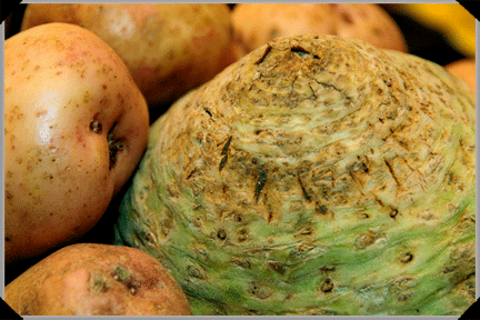 potato and celeriac mash